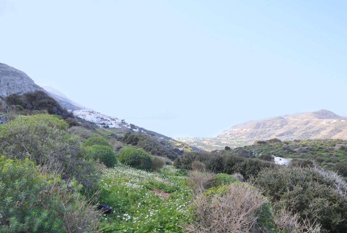 View over the land