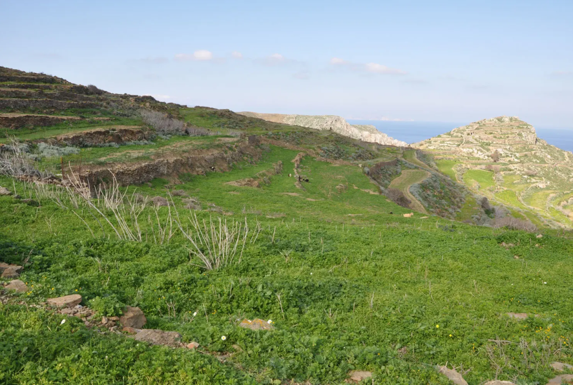 View over the land to the north