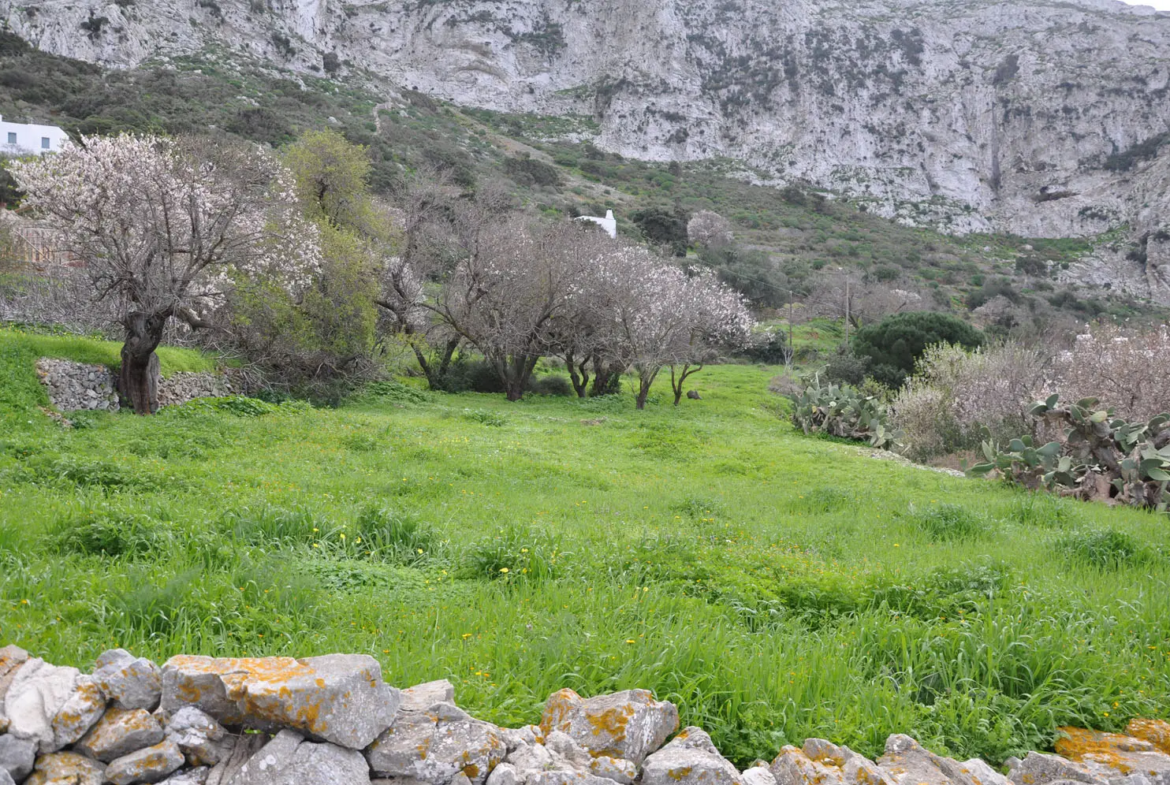 View over the land