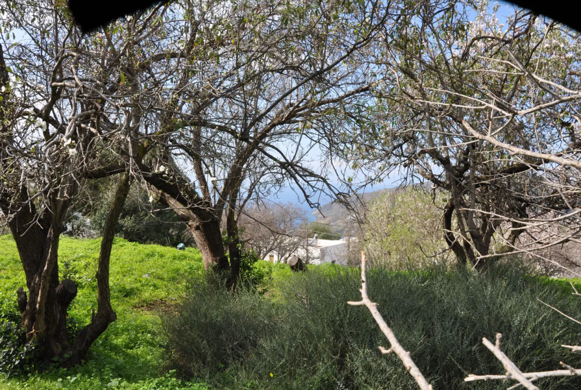 View towards the sea