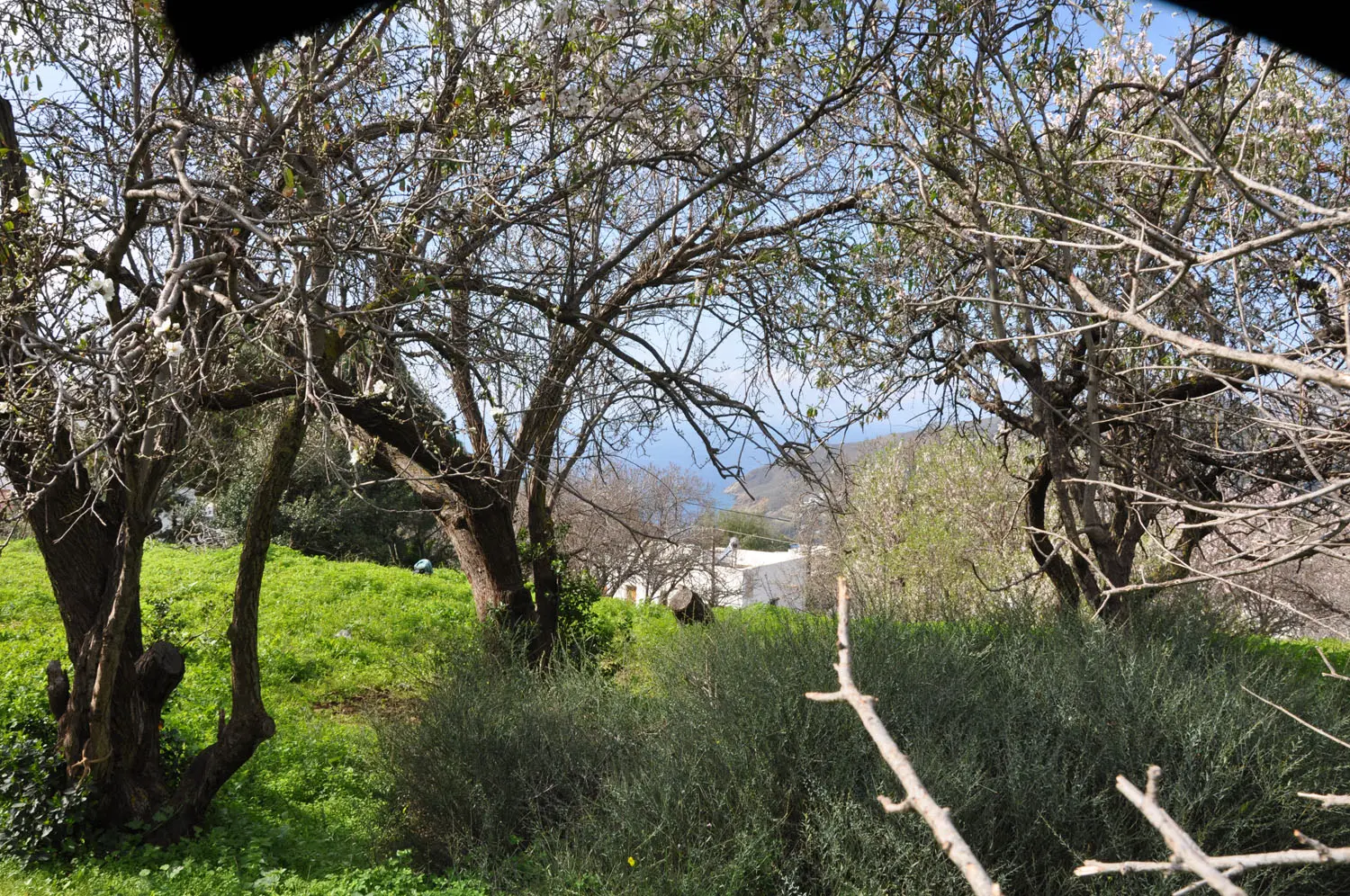 View towards the sea