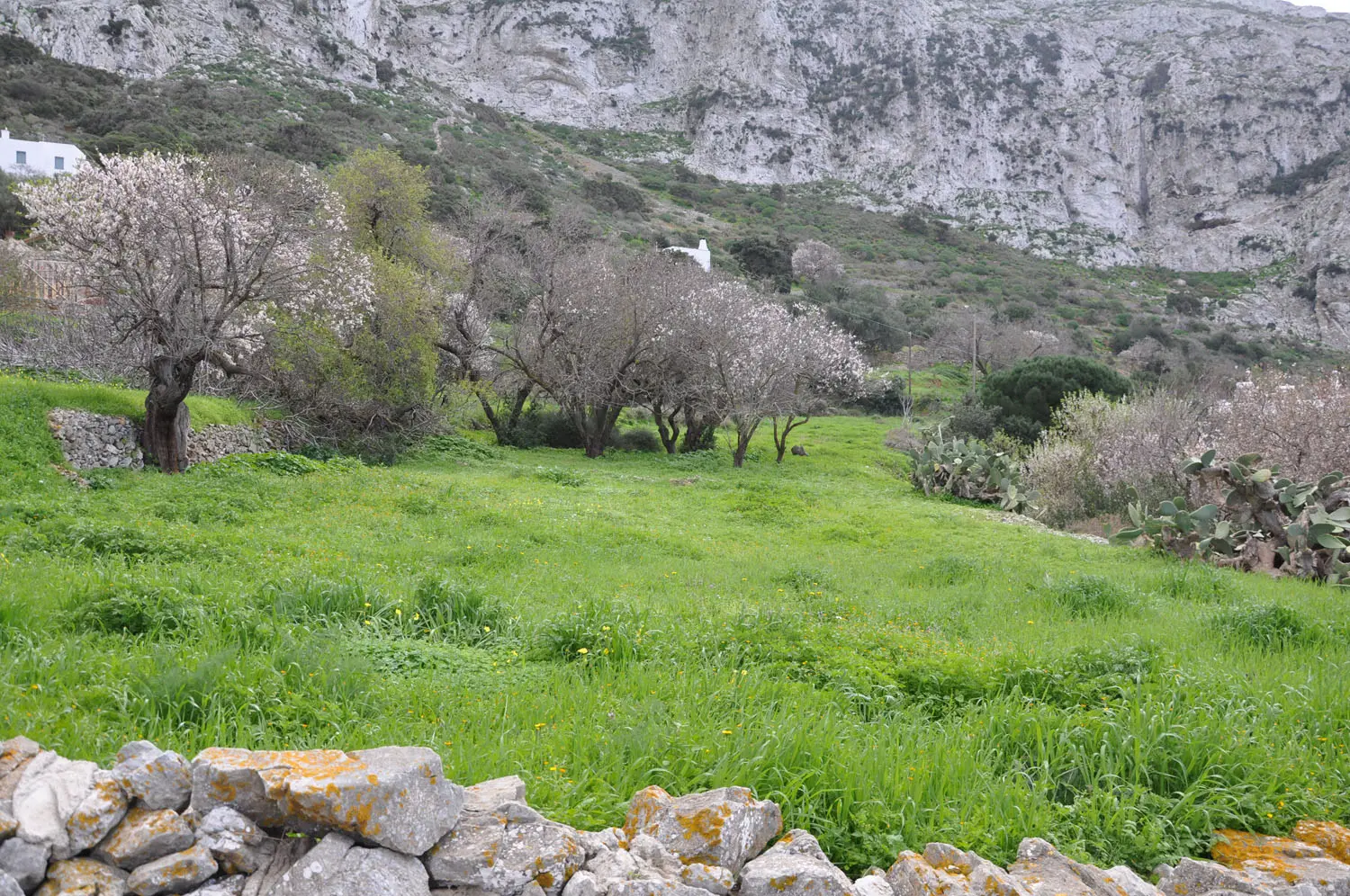 View over the land