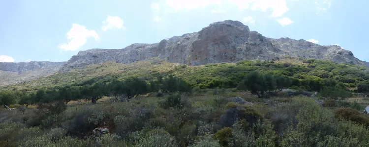 View towards the mountains